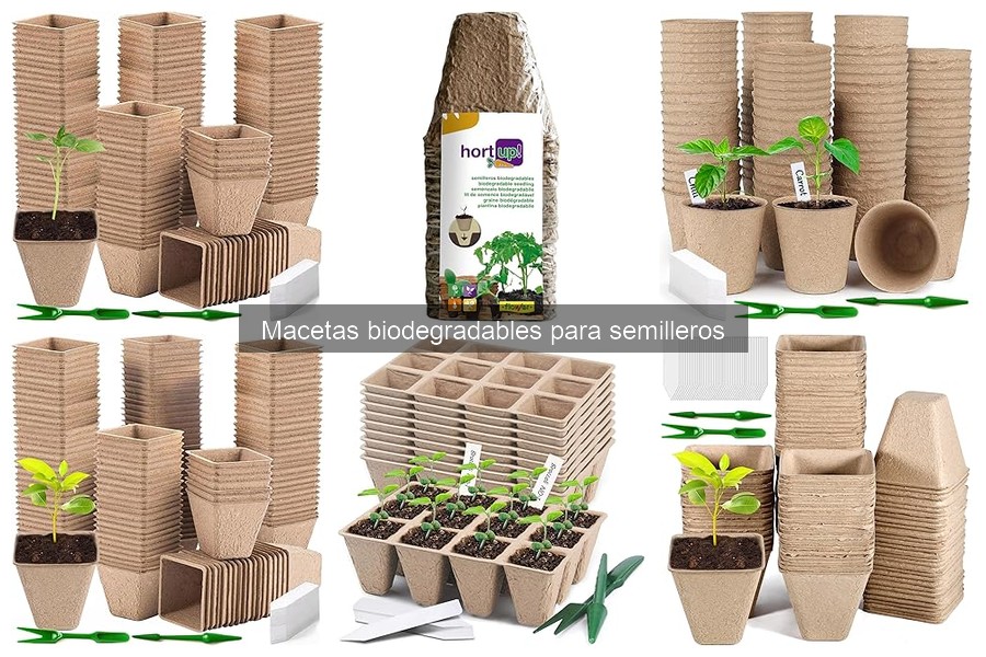 Mejores macetas biodegradables para semilleros en 2023