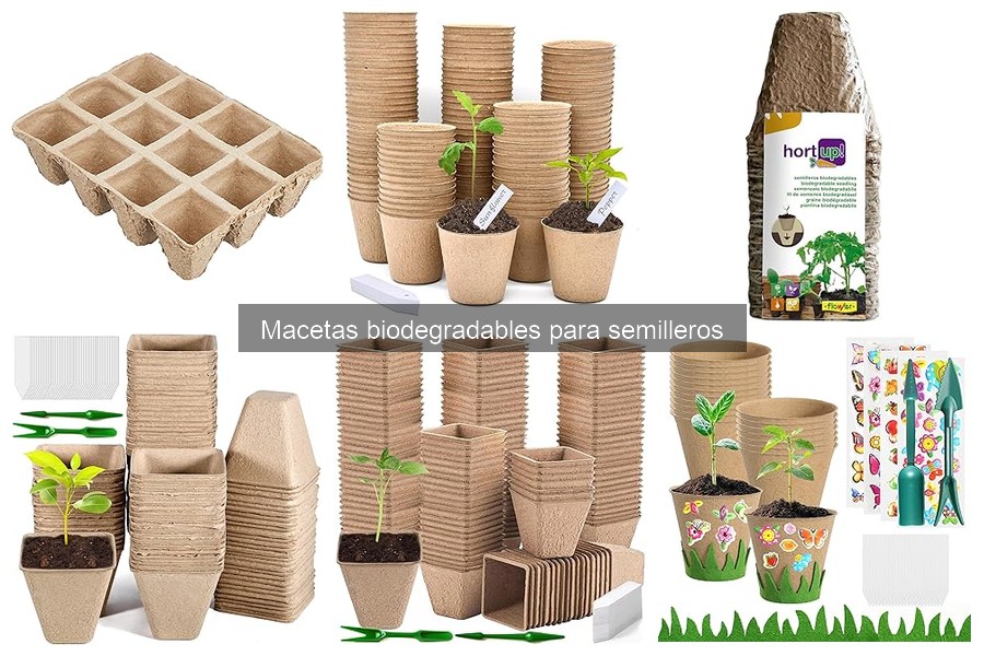 Mejores macetas biodegradables para semilleros y sus ventajas