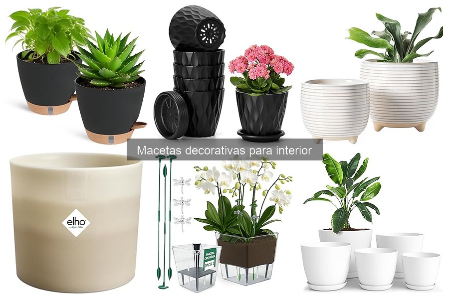 Mejores macetas decorativas para plantas de interior