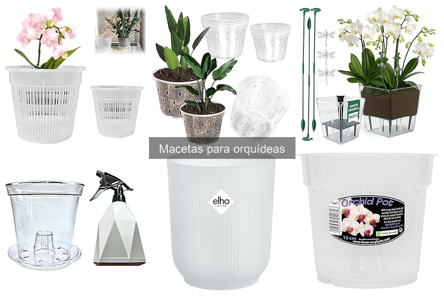 Mejores macetas para orquídeas en interiores: compra aquí