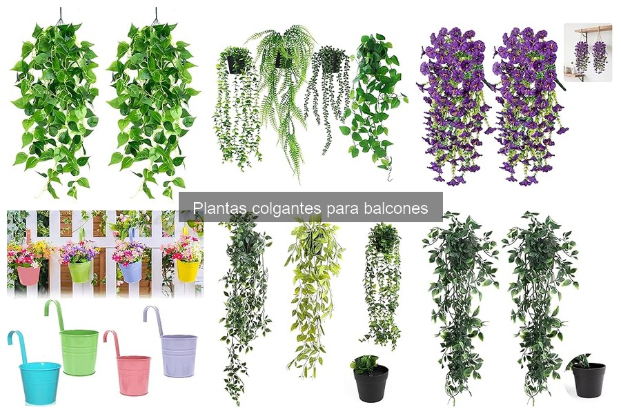 Mejores maceteros y soportes para plantas colgantes