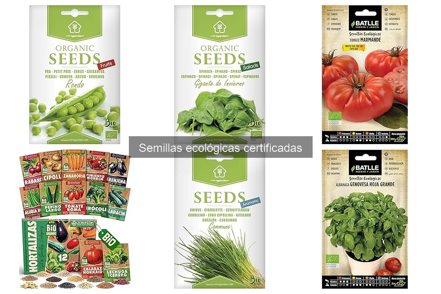 Mejores marcas de semillas ecológicas certificadas