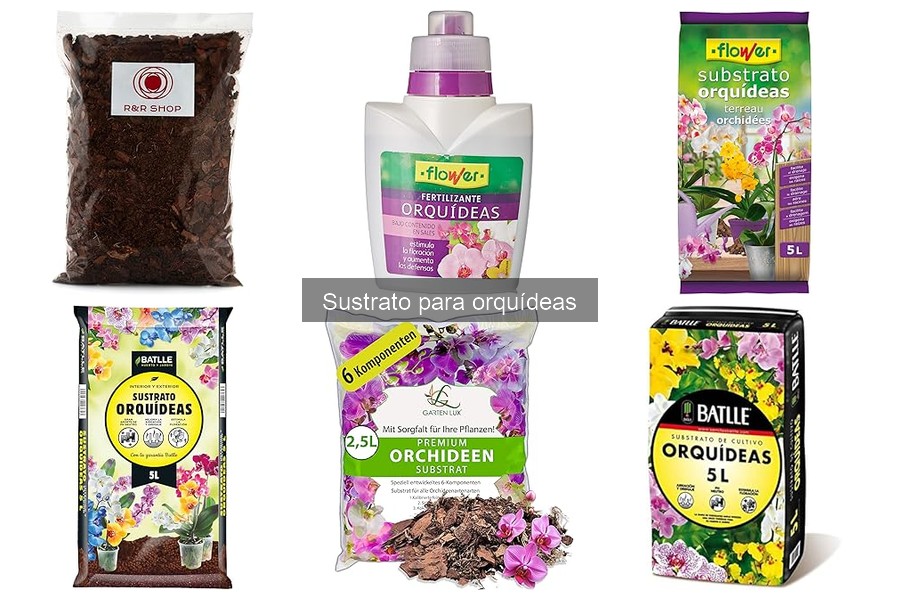 Mejores marcas de sustratos para orquídeas en 2023