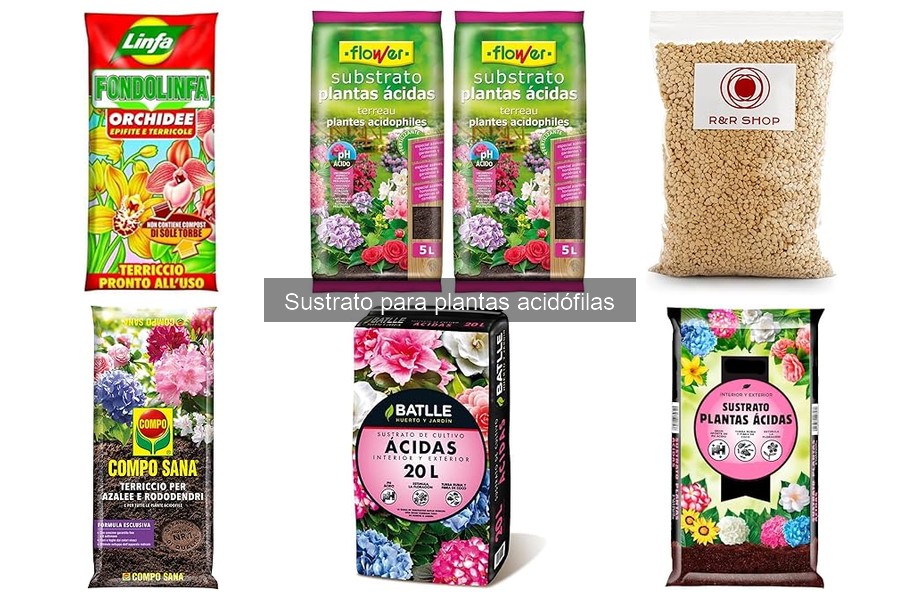 Mejores marcas de sustratos para plantas acidófilas