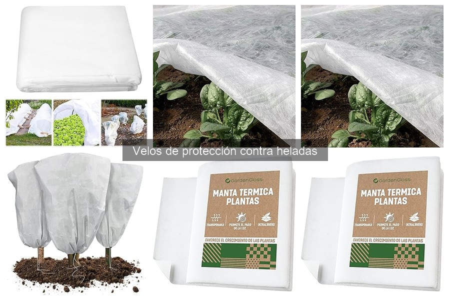 Mejores marcas de velos de protección contra heladas en 2023