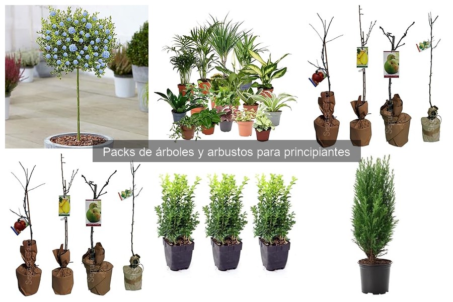 Mejores packs de árboles y arbustos para principiantes