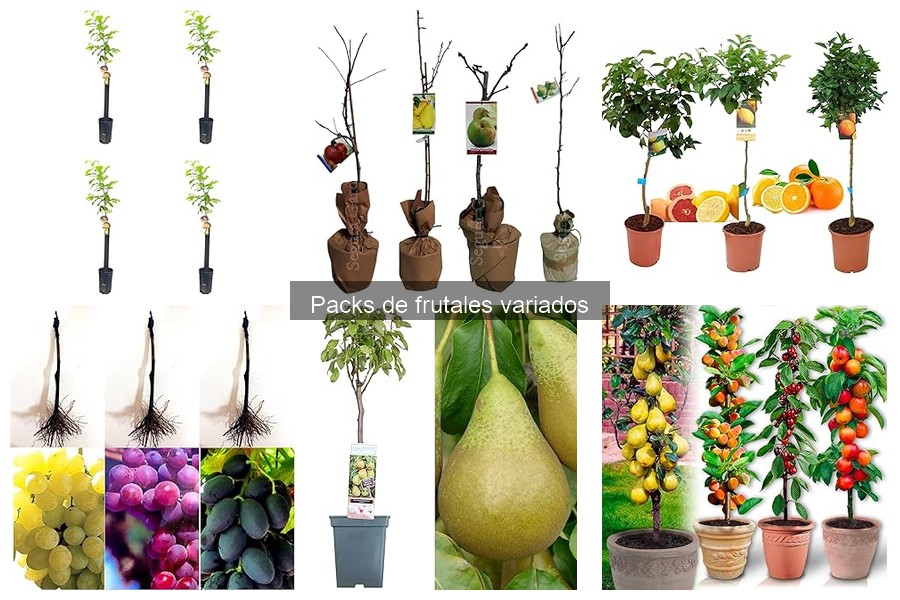 Mejores packs de frutales variados para principiantes