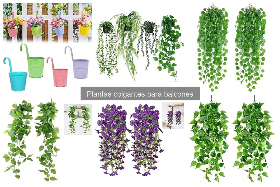Mejores plantas colgantes de bajo mantenimiento para balcones