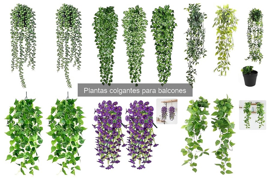 Mejores plantas colgantes para balcones soleados: comparativa