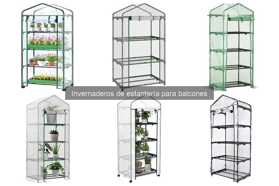 Mejores plantas para invernaderos de estantería en balcones
