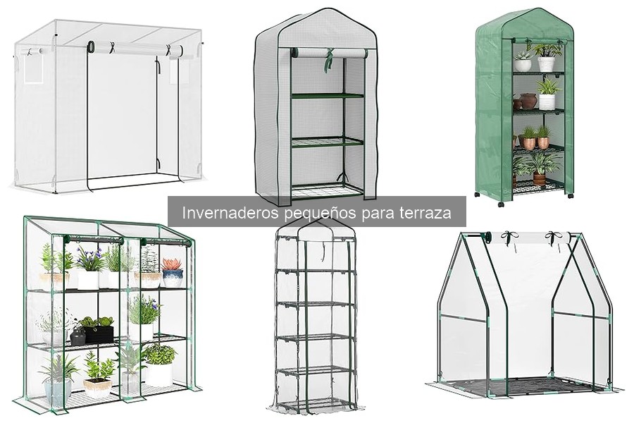 Mejores plantas para invernaderos pequeños en terrazas