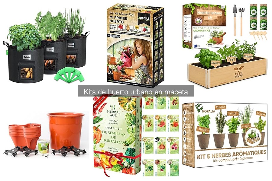 Mejores plantas para tu kit de huerto urbano en maceta