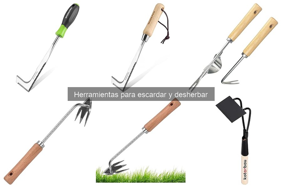 Mejores prácticas para el mantenimiento de herramientas de escardar