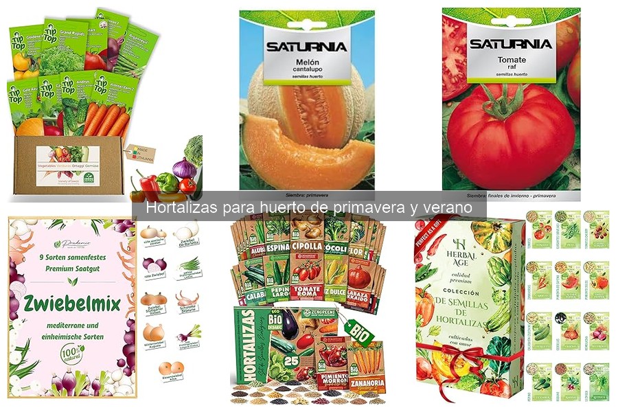 Mejores Prácticas para el Riego de Hortalizas en Verano