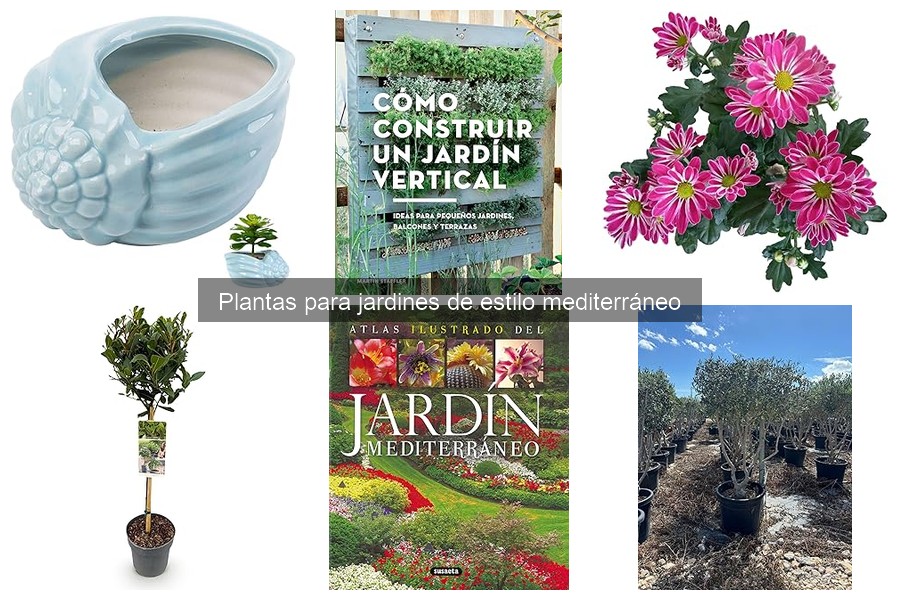 Mejores prácticas para fertilizar plantas mediterráneas
