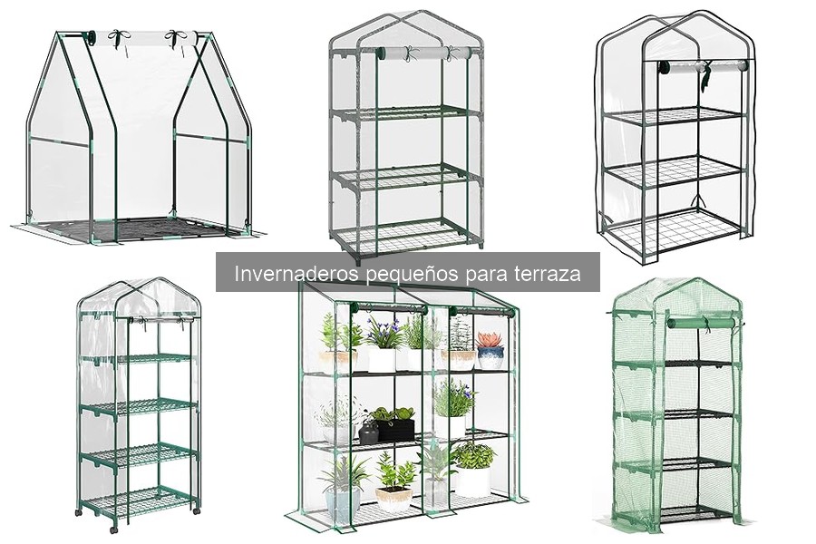 Mejores prácticas para mantener invernaderos pequeños en terraza