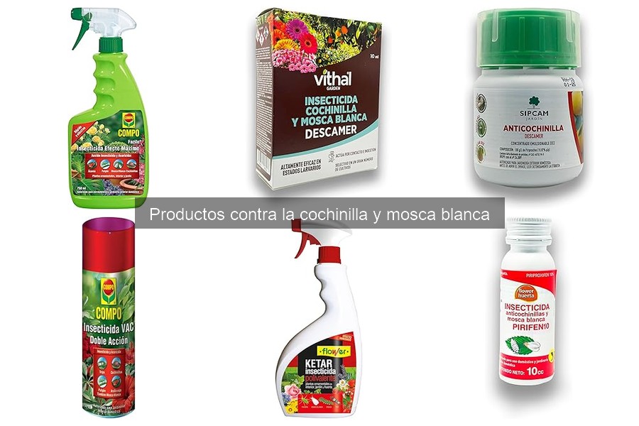 Mejores productos contra cochinilla y mosca blanca para tus plantas