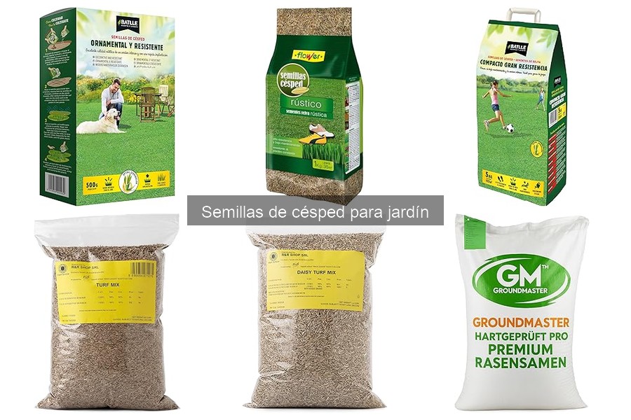 Mejores semillas de césped para climas cálidos: comparativa