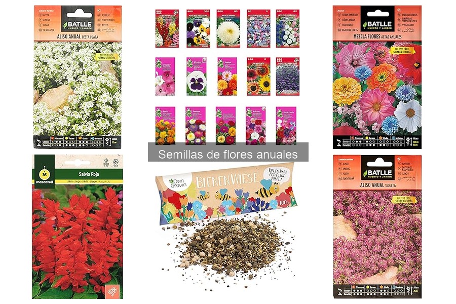 Mejores semillas de flores anuales para atraer polinizadores