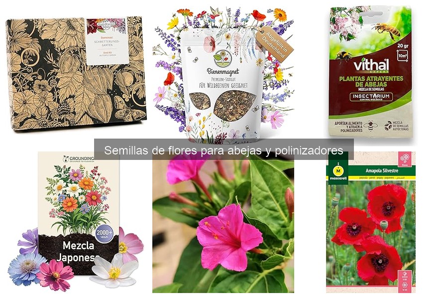 Mejores semillas de flores para atraer polinizadores