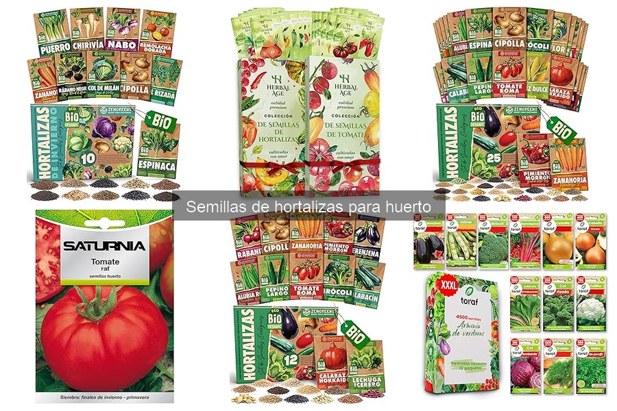 Mejores semillas de hortalizas para plantar en primavera