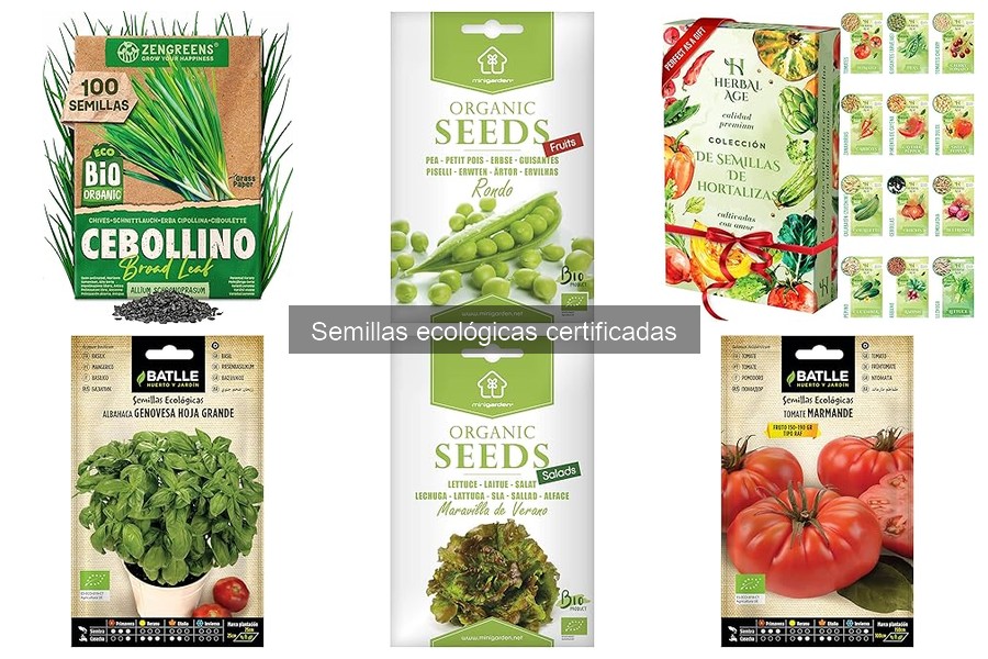 Mejores semillas ecológicas para cultivar en casa 2023