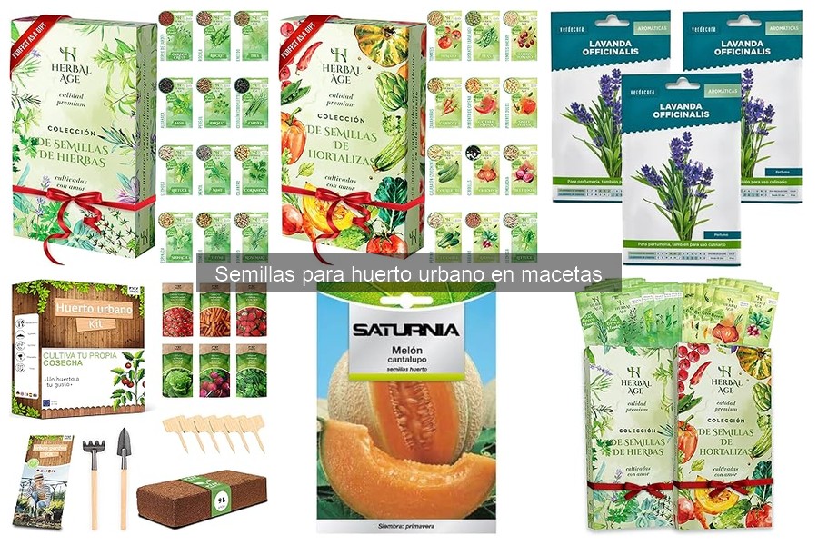 Mejores semillas para cultivar en macetas en casa