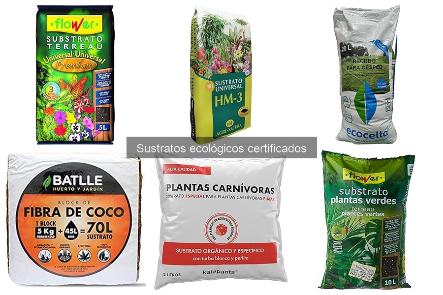 Mejores sustratos ecológicos certificados para cultivo en interior