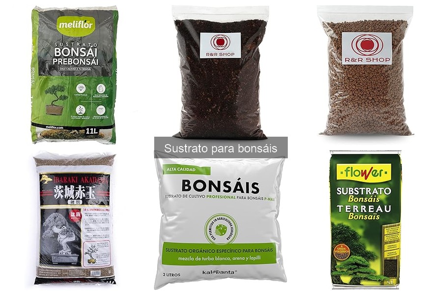 Mejores sustratos para bonsáis en 2023: Comparativa