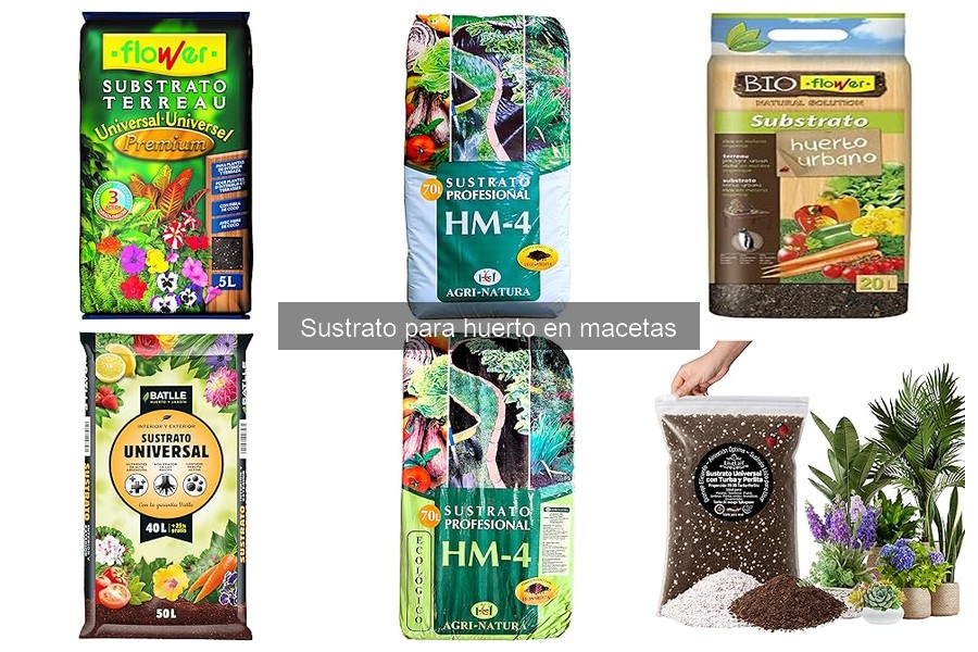 Mejores sustratos para huerto en macetas en 2023
