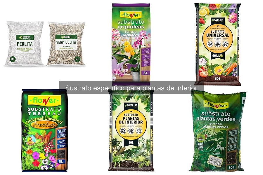 Mejores sustratos para plantas de interior en climas húmedos