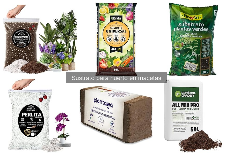 Mejores sustratos para plantas en macetas: comparativa