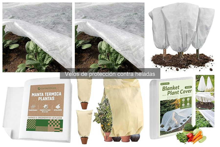 Mejores tiendas para comprar velos de protección contra heladas