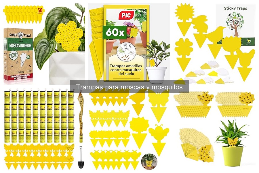 Mejores trampas para moscas y mosquitos en exteriores