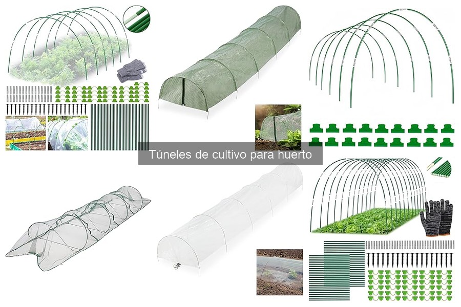 Mejores túneles de cultivo para jardines pequeños en 2023