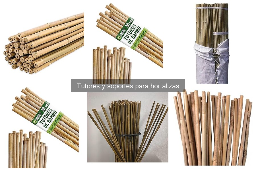 Mejores tutores para tomates en huertos domésticos