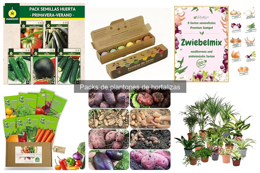 Mejores variedades de hortalizas en packs de plantones