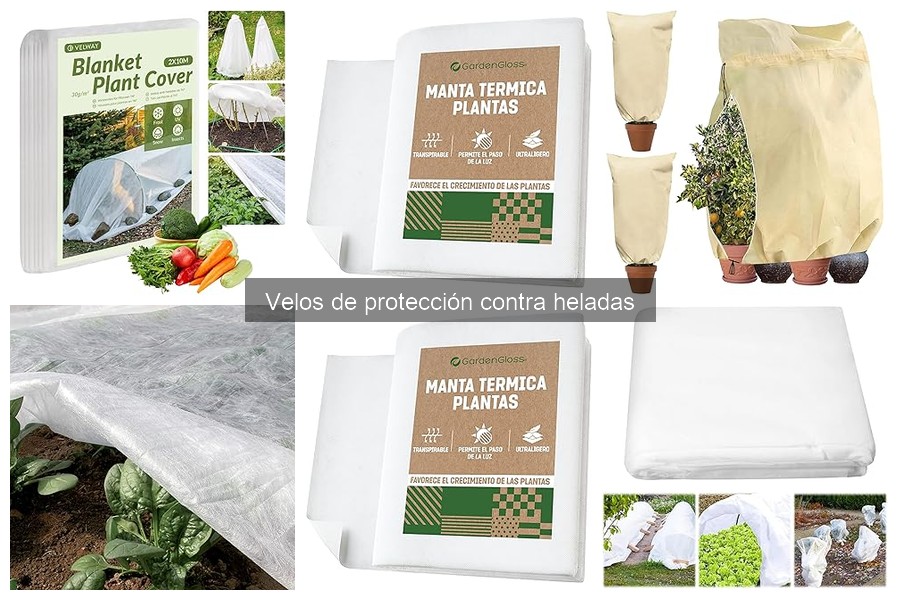 Mejores Velos de Protección contra Heladas para Jardines Pequeños