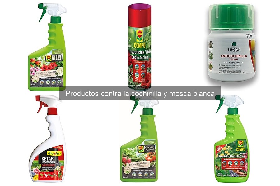 Métodos naturales para eliminar cochinilla y mosca blanca
