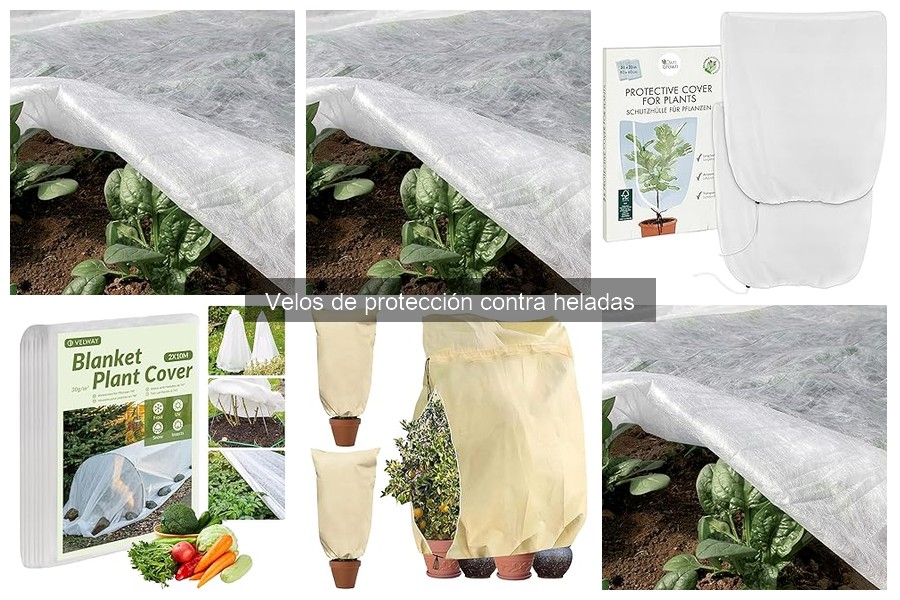 Métodos para Asegurar Velos de Protección contra Heladas