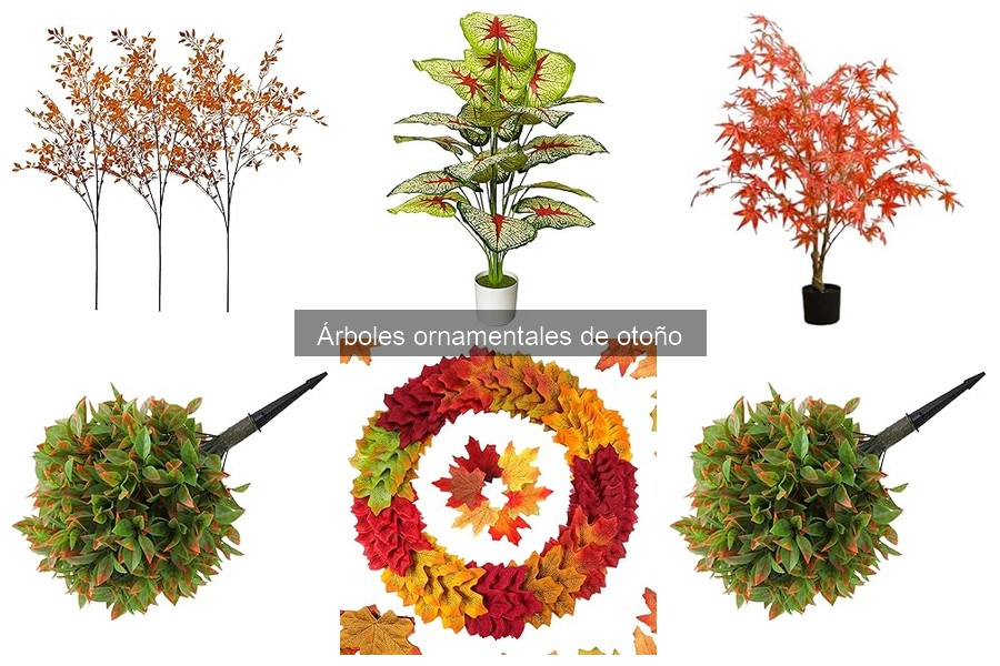 Necesidades de riego en árboles ornamentales en otoño