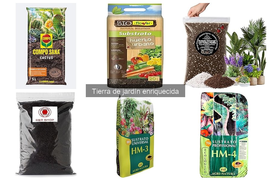 ¿Necesito realmente tierra de jardín enriquecida?
