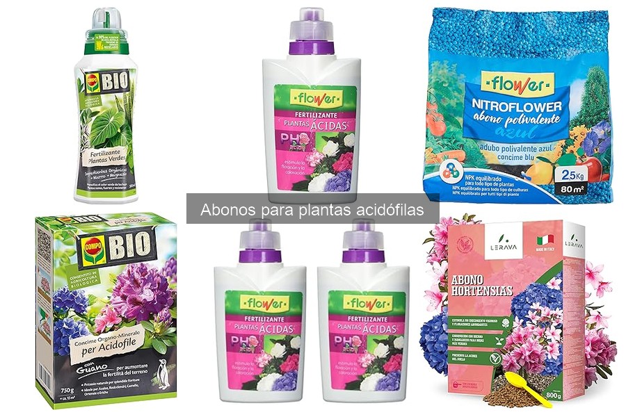 Nutrientes esenciales para abonos de plantas acidófilas