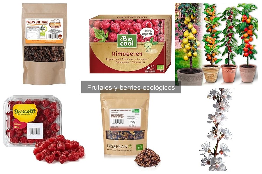Nutrientes esenciales para el crecimiento de berries saludables