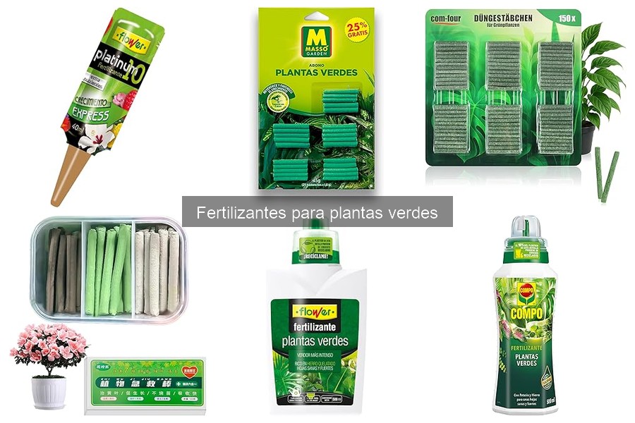 Nutrientes Esenciales para Plantas Verdes y Fertilizantes