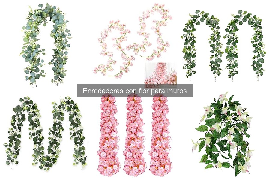 Ofertas en Enredaderas con Flor para Muros - Mejores Precios