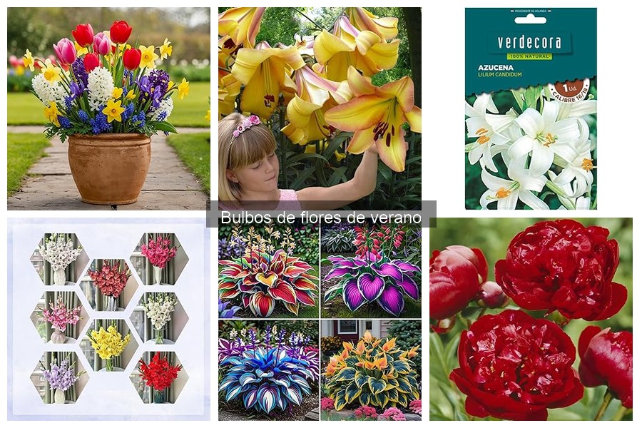 Ofertas y precios de bulbos de flores de verano