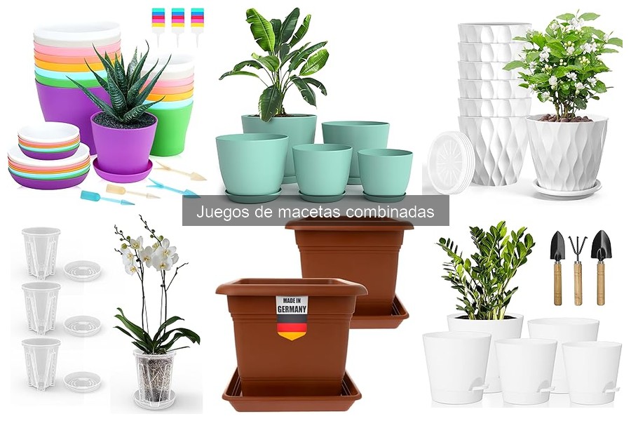 Opiniones sobre juegos de macetas combinadas para jardinería