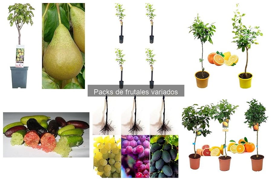 Opiniones sobre packs de frutales variados para tu jardín