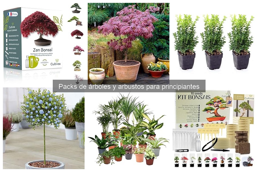 Packs de árboles y arbustos: guía para principiantes